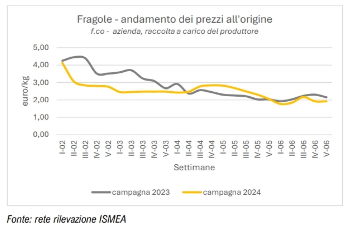 Grafico dell'andamento dei prezzi all'origine delle fragole